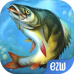 eth955:com-www:eth955:com